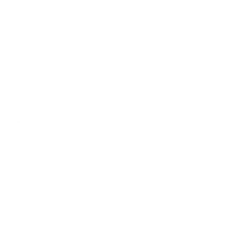 Servirsol Travel Agency Web Icon